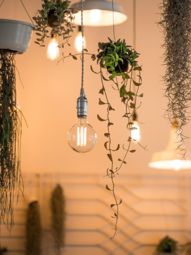 cropped-decoracao-verde-com-plantas-e-lampadas.png