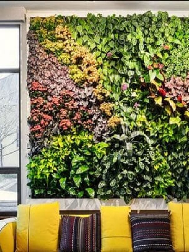 cropped-CAPA-PLANTAS-1.jpg