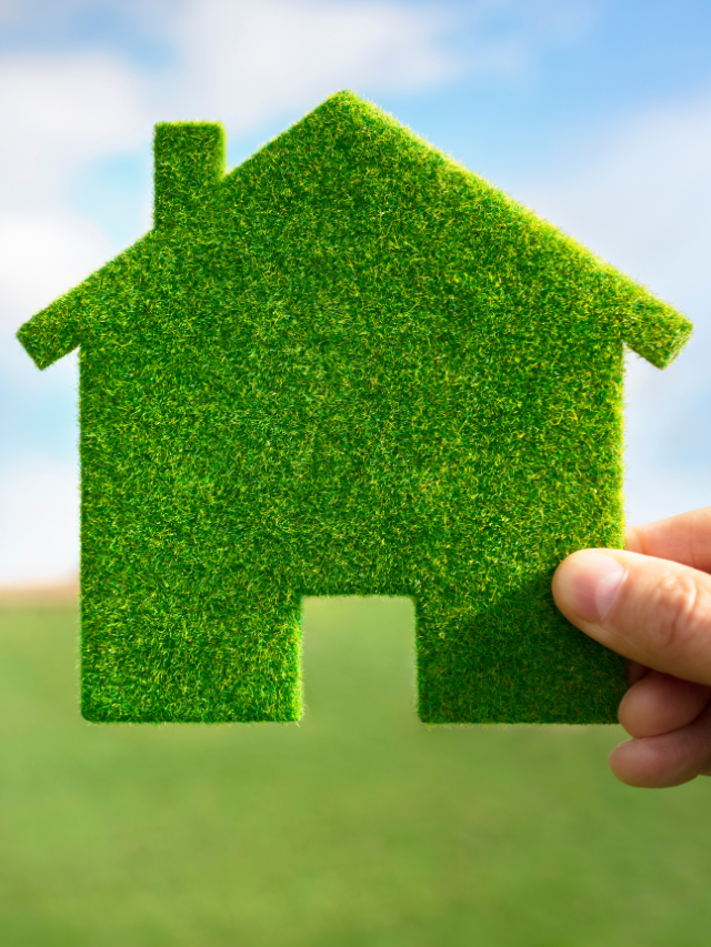 Como tornar sua casa mais saudável