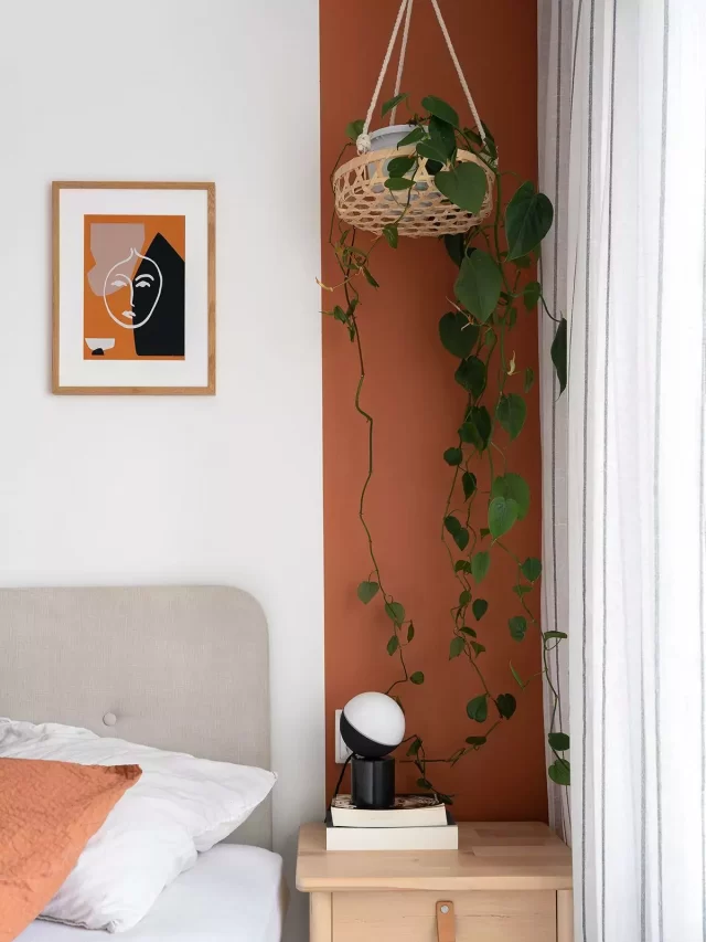 Decoração-Meia-Parede