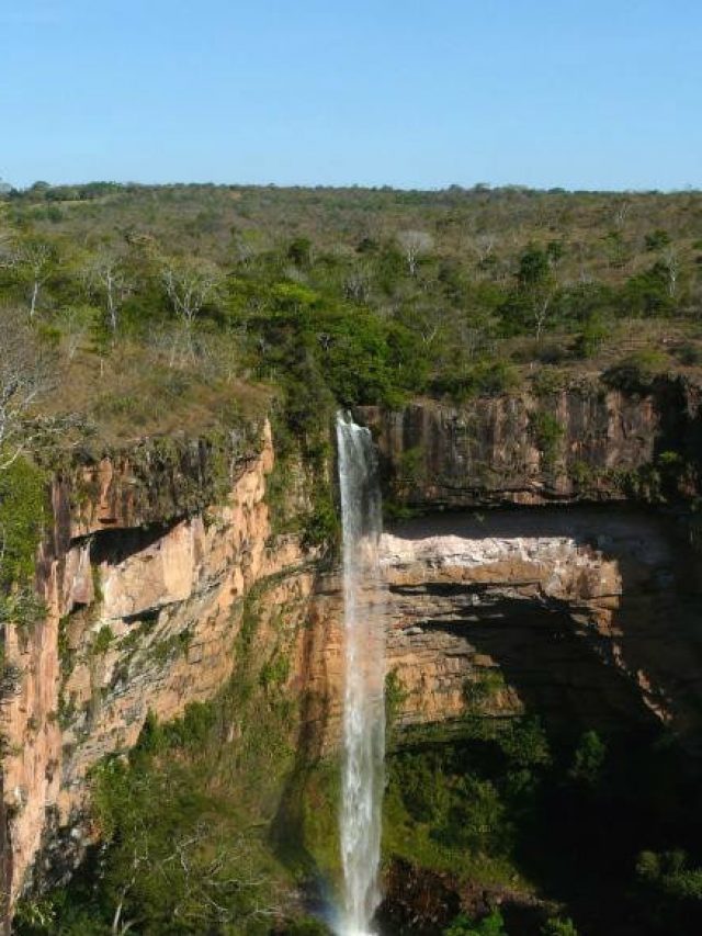 161370-surpreendase-descubra-agora-x-curiosidades-do-mato-grosso