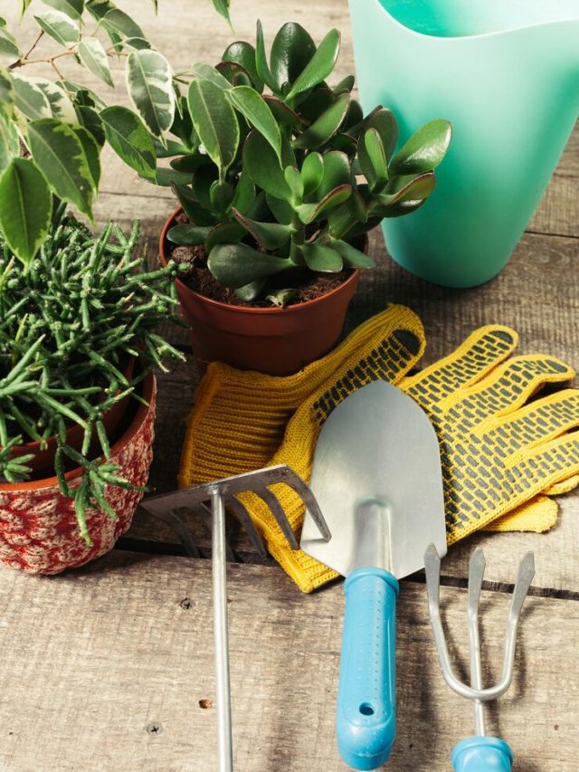 composicao-de-ferramentas-de-jardim_93675-131205