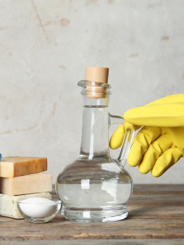 Woman,With,Jug,Of,Vinegar,And,Cleaning,Supplies,At,Table