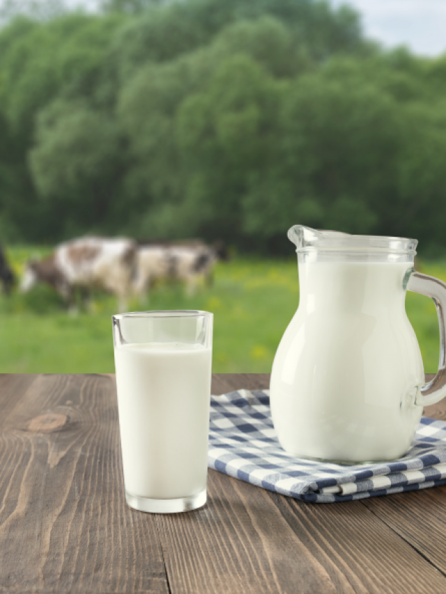 Por-que-a-proteína-do-leite-é-tão-importante-para-a-nossa-saúde-