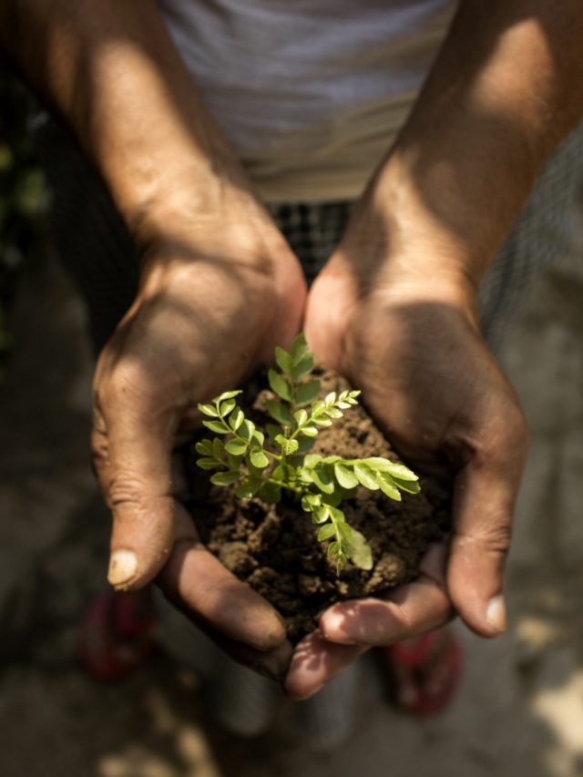 hand-lights-earth-garden-3029778-scaled