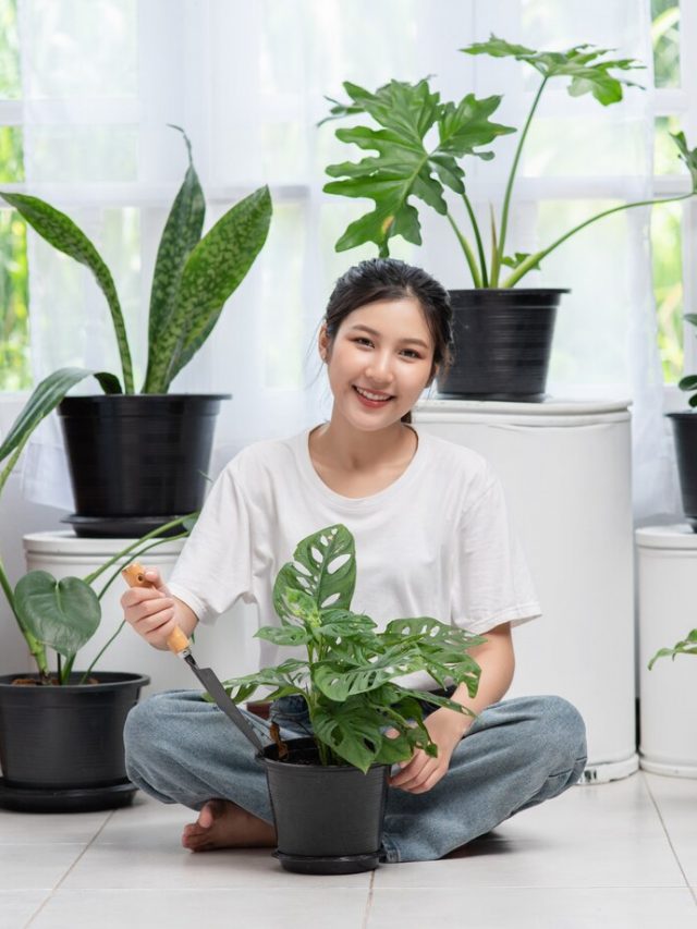 a-mulher-esta-sentada-e-plantando-arvores-em-casa_1150-24151