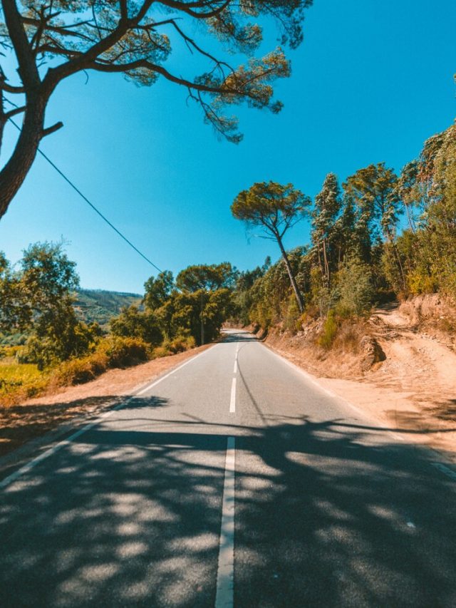 foto-vertical-de-uma-estrada-cercada-por-arvores-verdes-sob-um-lindo-ceu-azul_181624-15467