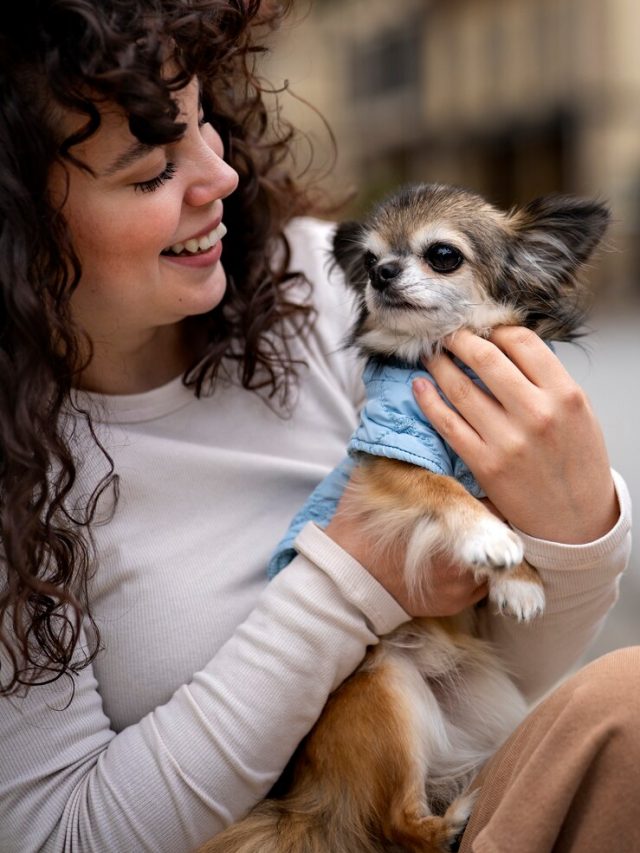 mulher-de-vista-frontal-com-cachorro-chihuahua-fofo_23-2150264957