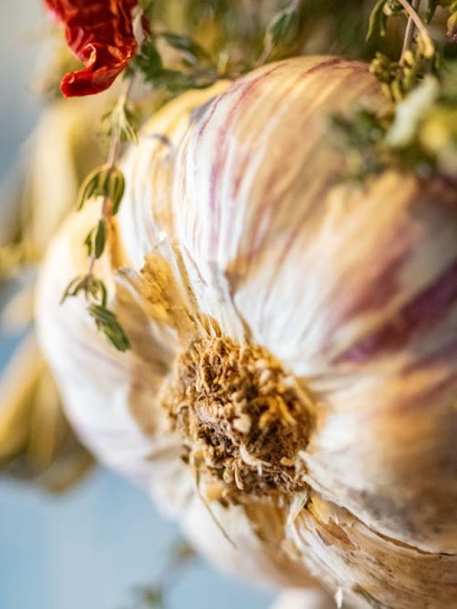 pexels-photo-3689846