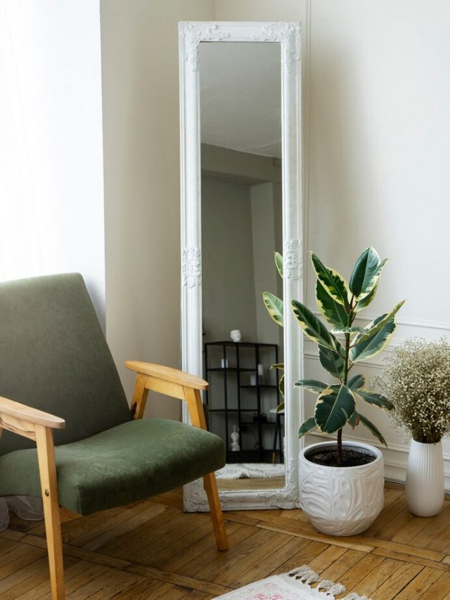 decoracao-de-interiores-com-espelho-e-vaso-de-plantas_23-2149428032