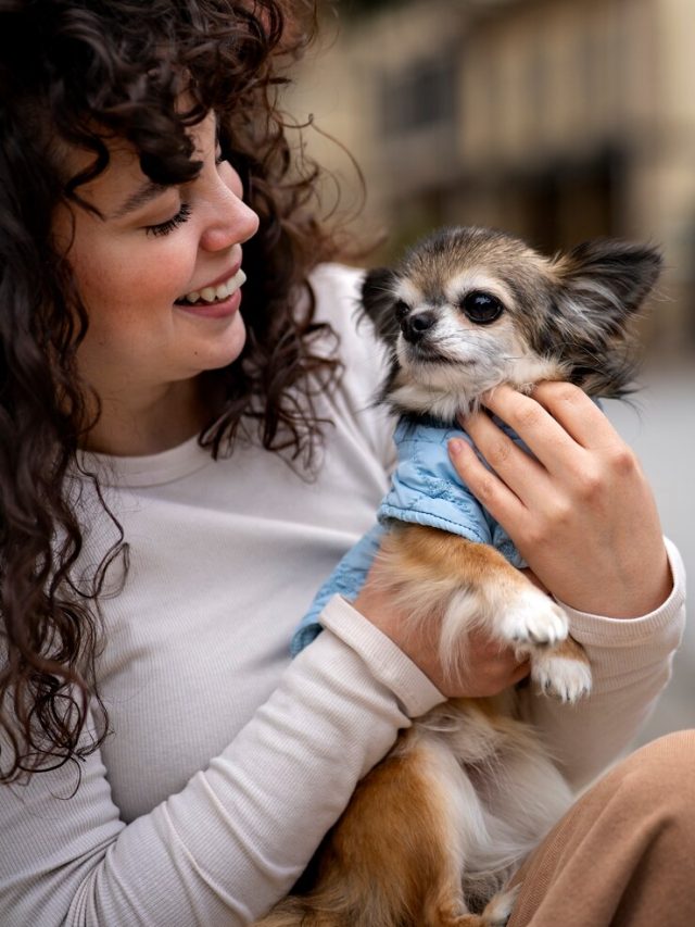 mulher-de-vista-frontal-com-cachorro-chihuahua-fofo_23-2150264957