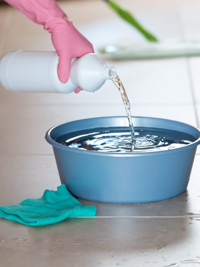 agua_sanitaria_em_casa-scaled