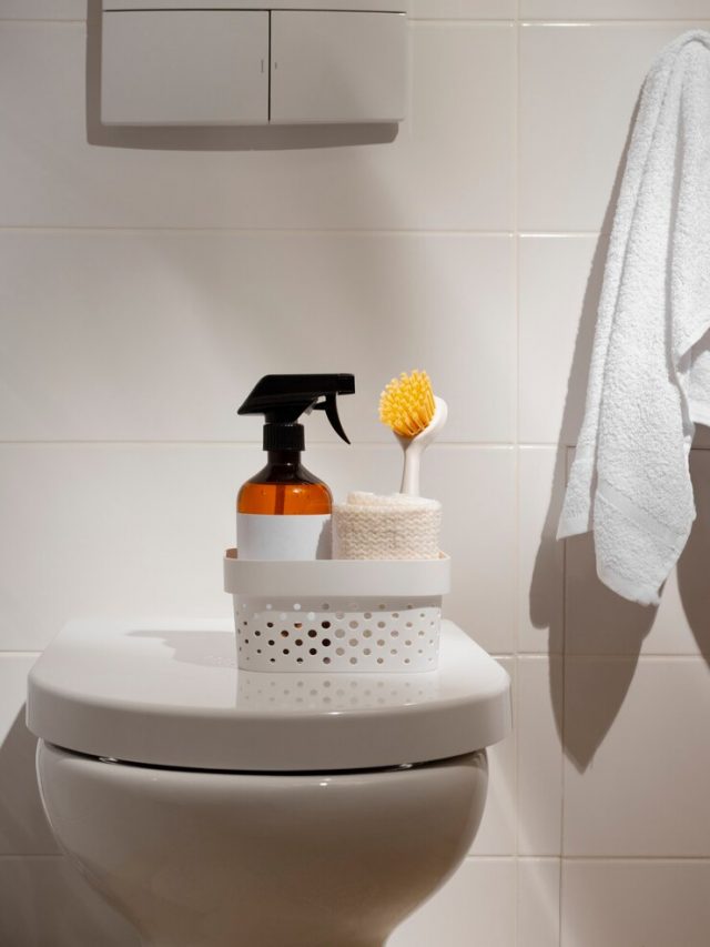 ainda-vida-de-produtos-de-limpeza-de-banheiro_23-2150829700