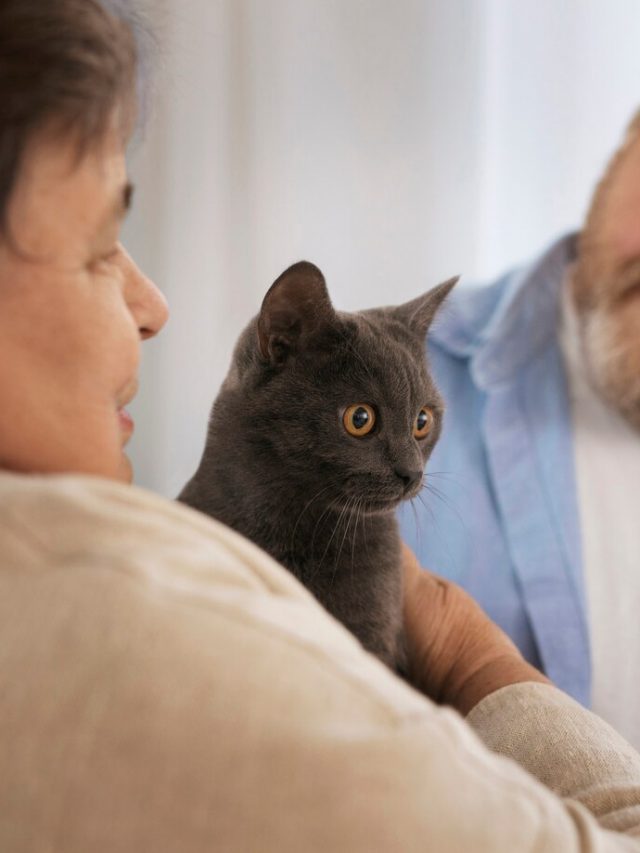 idosos-de-vista-lateral-com-gato_23-2150139626