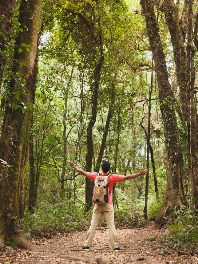 backpacker-esticar-bracos_23-2147683166