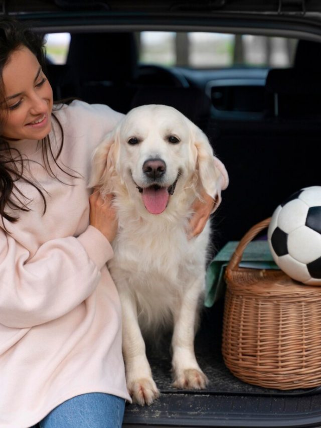 mulher-com-tiro-medio-segurando-cachorro_23-2149004544