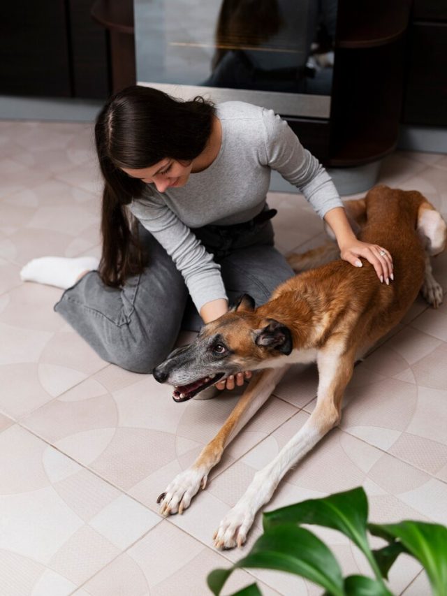 mulher-de-tiro-completo-acariciando-cachorro-sorridente_23-2149872940