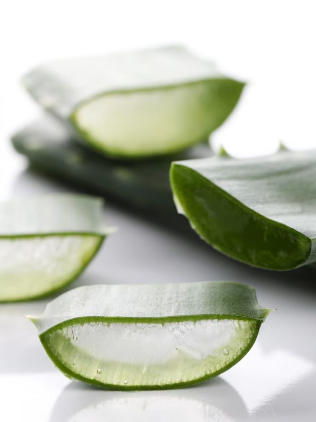 fatias-de-aloe-vera-para-cuidados-com-a-pele_144627-36267