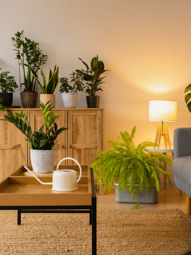 plantas-de-interior-em-estudio_23-2151022097