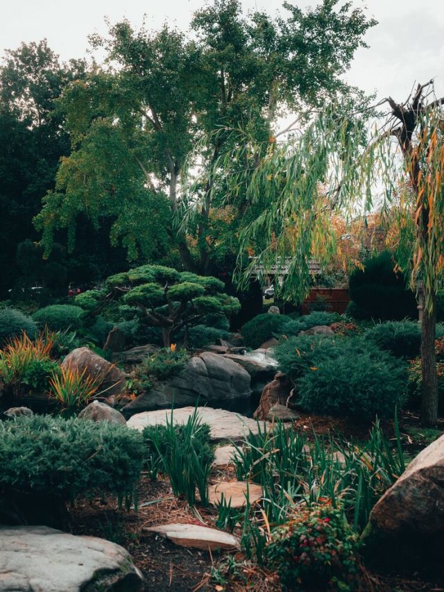 bela-vista-da-natureza-hipnotizante-nos-jardins-japoneses-de-adelaide-himeji-de-estilo-tradicional_181624-45984