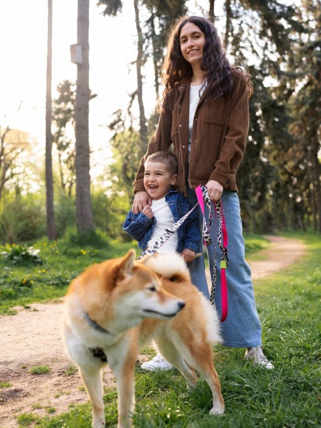 lindo-animal-de-estimacao-shiba-inu-com-a-familia_23-2149428987