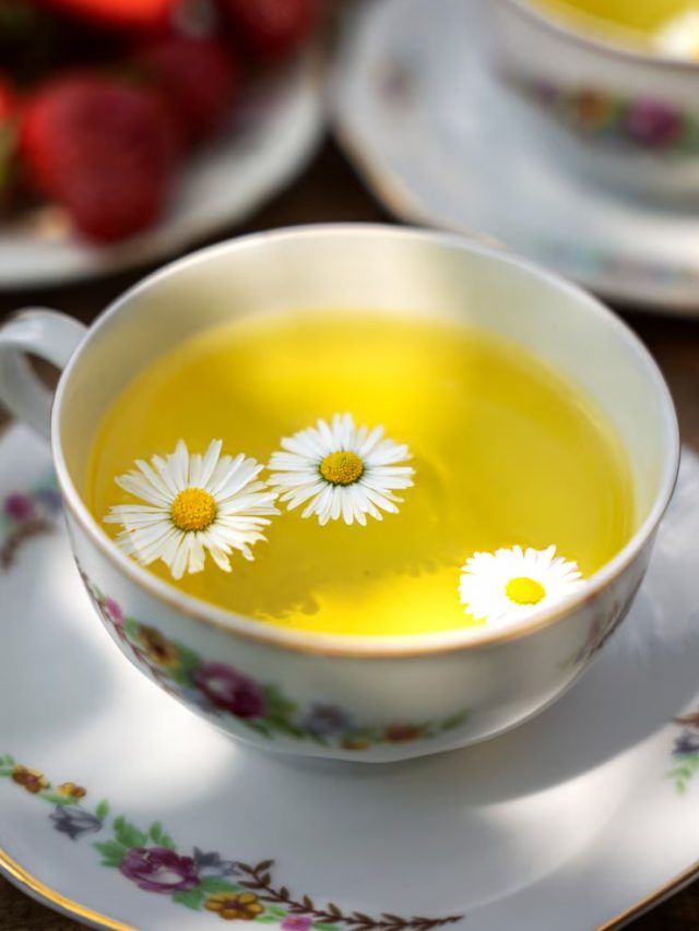 xicara-de-cha-deliciosa-de-alto-angulo-com-plantas_23-2149434089