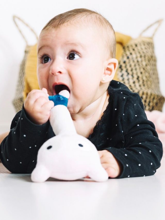 bebe-bonito-tentando-morder-brinquedo_23-2147711937