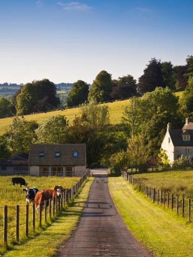 fazenda-campo-1642698599556_v2_450x450