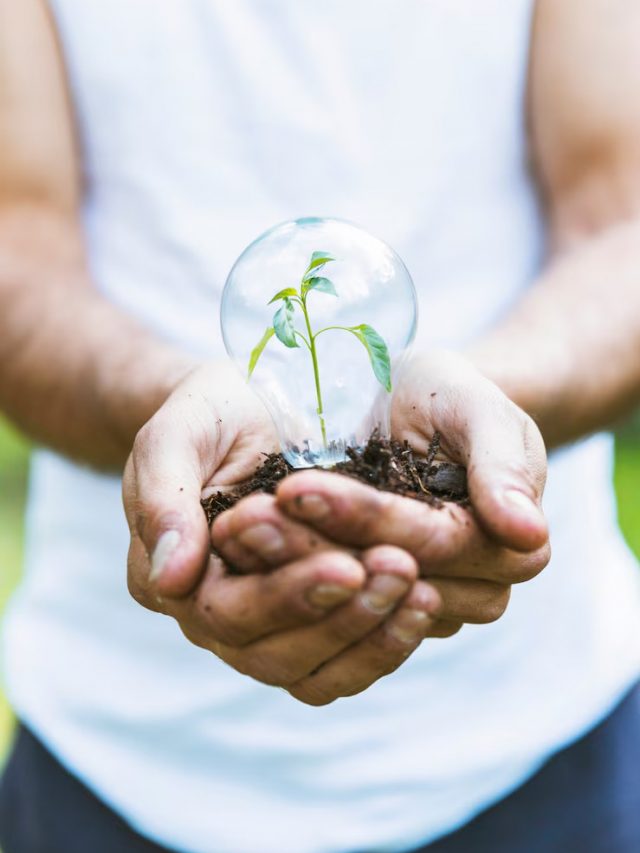 planta-de-conceito-em-bulbo-de-vidro_23-2147826211