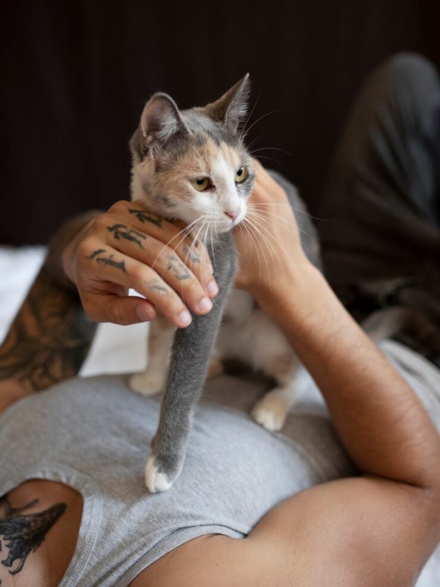 homem-de-vista-lateral-segurando-gato-fofo_23-2149879725
