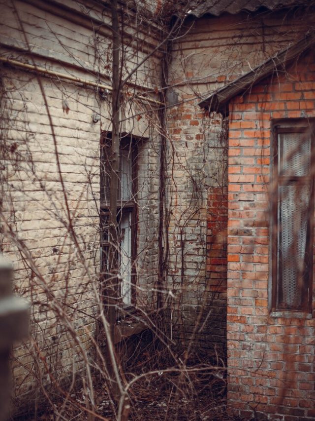 foto-vertical-de-um-predio-abandonado-de-tijolos_181624-26917
