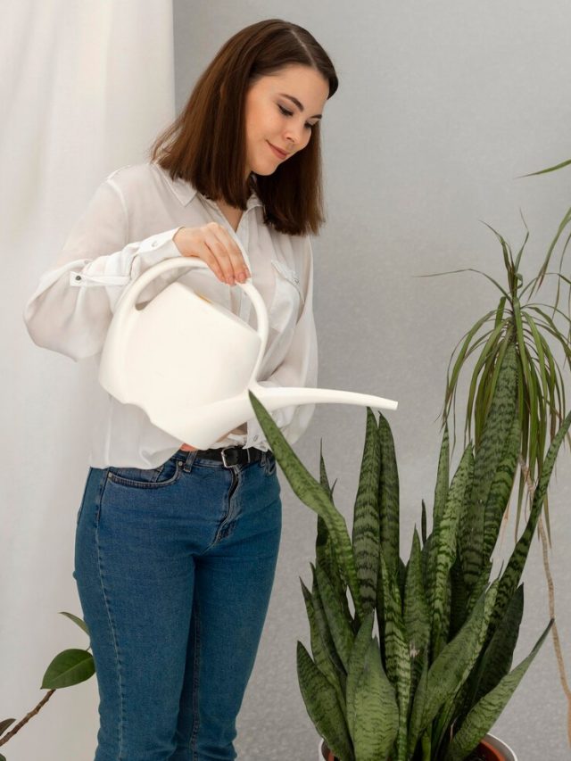 retrato-de-mulher-regando-planta_23-2148919847