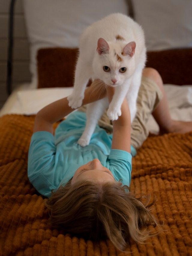 tiro-completo-de-crianca-segurando-um-gato-adoravel-na-cama_23-2149048086