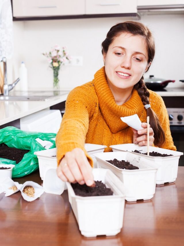 menina-semeando-sementes-na-mesa_1398-3937