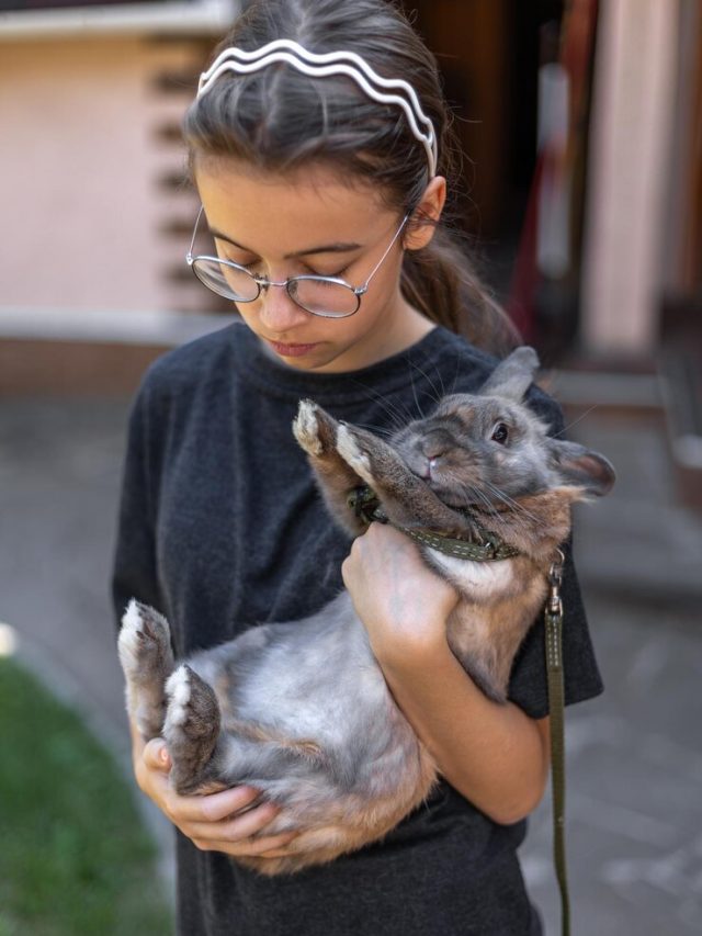 uma-menina-brinca-com-um-coelho-domestico-na-rua-conceito-de-animal-de-estimacao_169016-63517