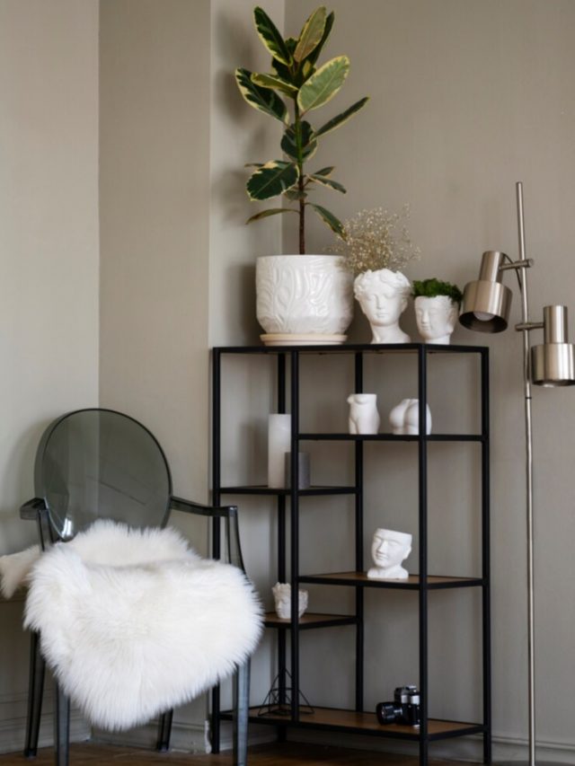 vista-da-planta-em-vaso-na-sala-na-prateleira-de-metal_23-2149427963