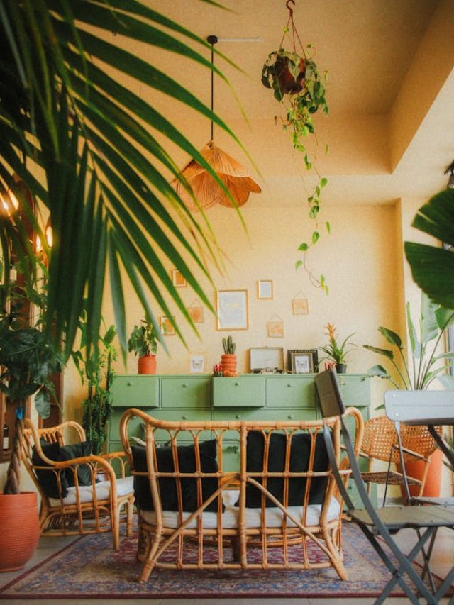 free-photo-of-interior-aconchegante-do-cafe-botanico-em-yalova