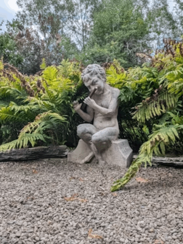 Quais São as Melhores Pedras para o Jardim?